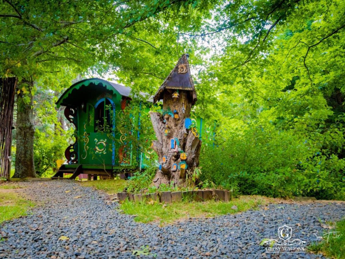 Gypsy Wagons And Vans, Clarens Room photo